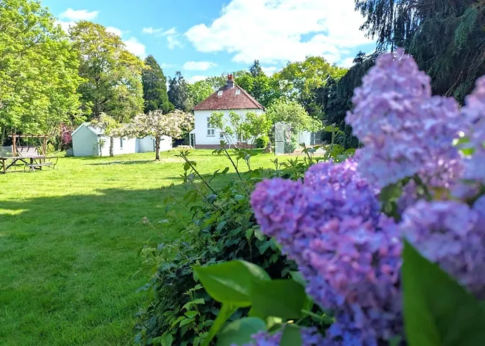 Cosy Cottage With Large Garden I Semi Rural Retreat! Nearby Countryside, Beaches & Goodwood - Chichester Holiday Properties