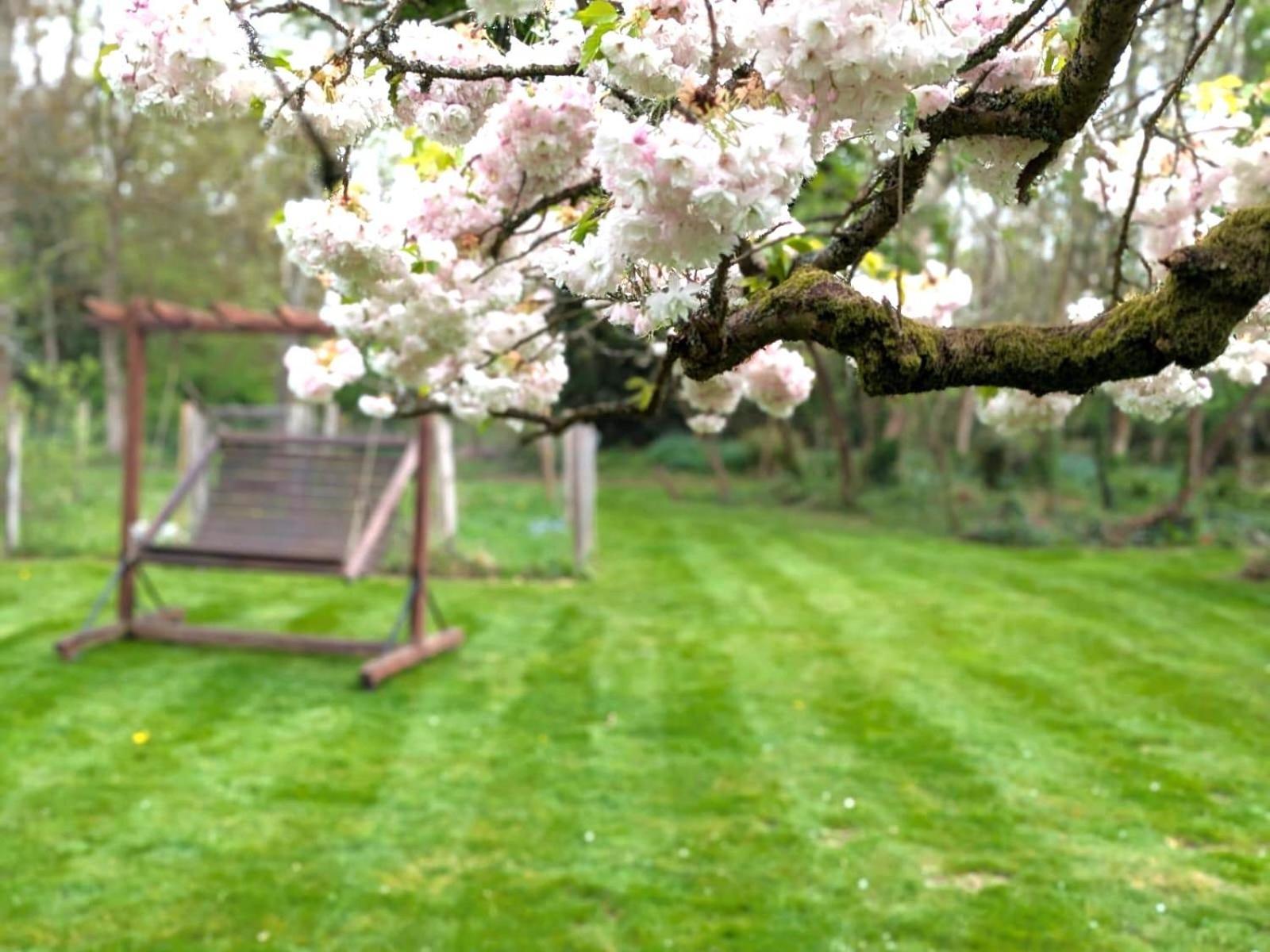 Casa vacanze Cosy With Large Garden I Semi Rural Retreat! Nearby Countryside, Beaches & Goodwood - Chichester Eartham