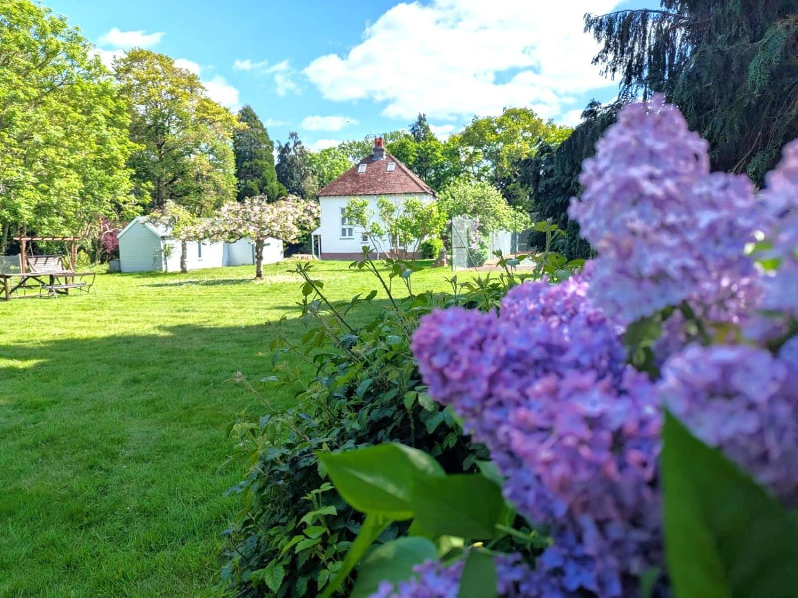 Casa vacanze Cosy With Large Garden I Semi Rural Retreat! Nearby Countryside, Beaches & Goodwood - Chichester Eartham